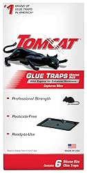 Tomcat Rat Trap with Immediate Grip Glue for