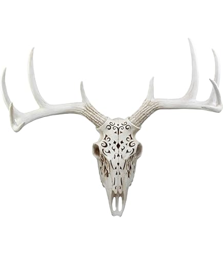 Amazon.com: Crazy Bonez Faux Taxidermy 10 Point Buck Deer Skull