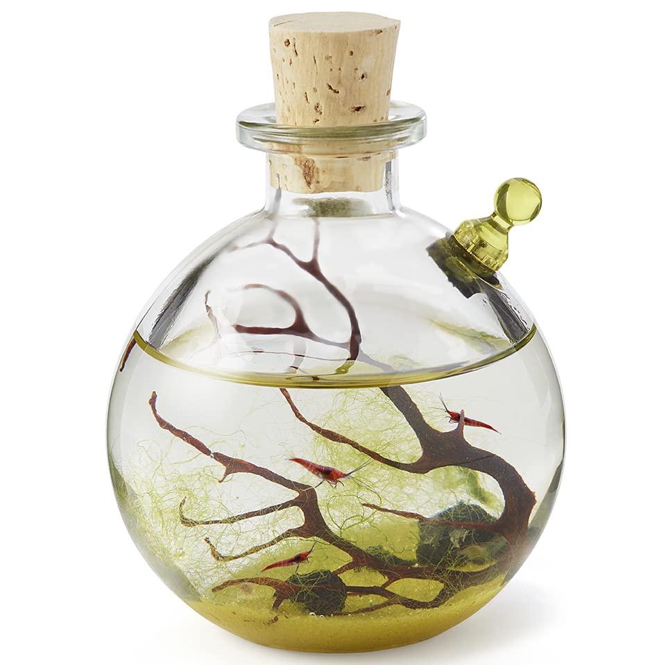 aquariums-fish-bowls-kuwait-buy-online-whizz-others