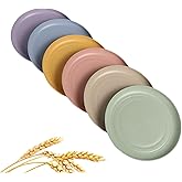 CAMBUY Wheat Straw Plates Lightweight Unbreakable Dinner Dishes Plates Set Dishwasher & Microwave Safe (Small 6 Pack 5.9')