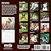 2020 Bull Terriers Calendar 16 Month 12 x 12 Wall Calendar by Bright Day Calendars (Terriers Collection) (Bull Terriers 2019)