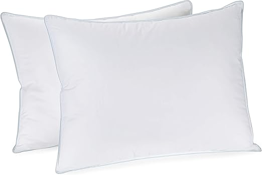 Amazon Com In Style Furnishings Set Of 2 Luxury Pillows Hotel