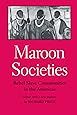 Maroon Societies: Rebel Slave Communities in the Americas