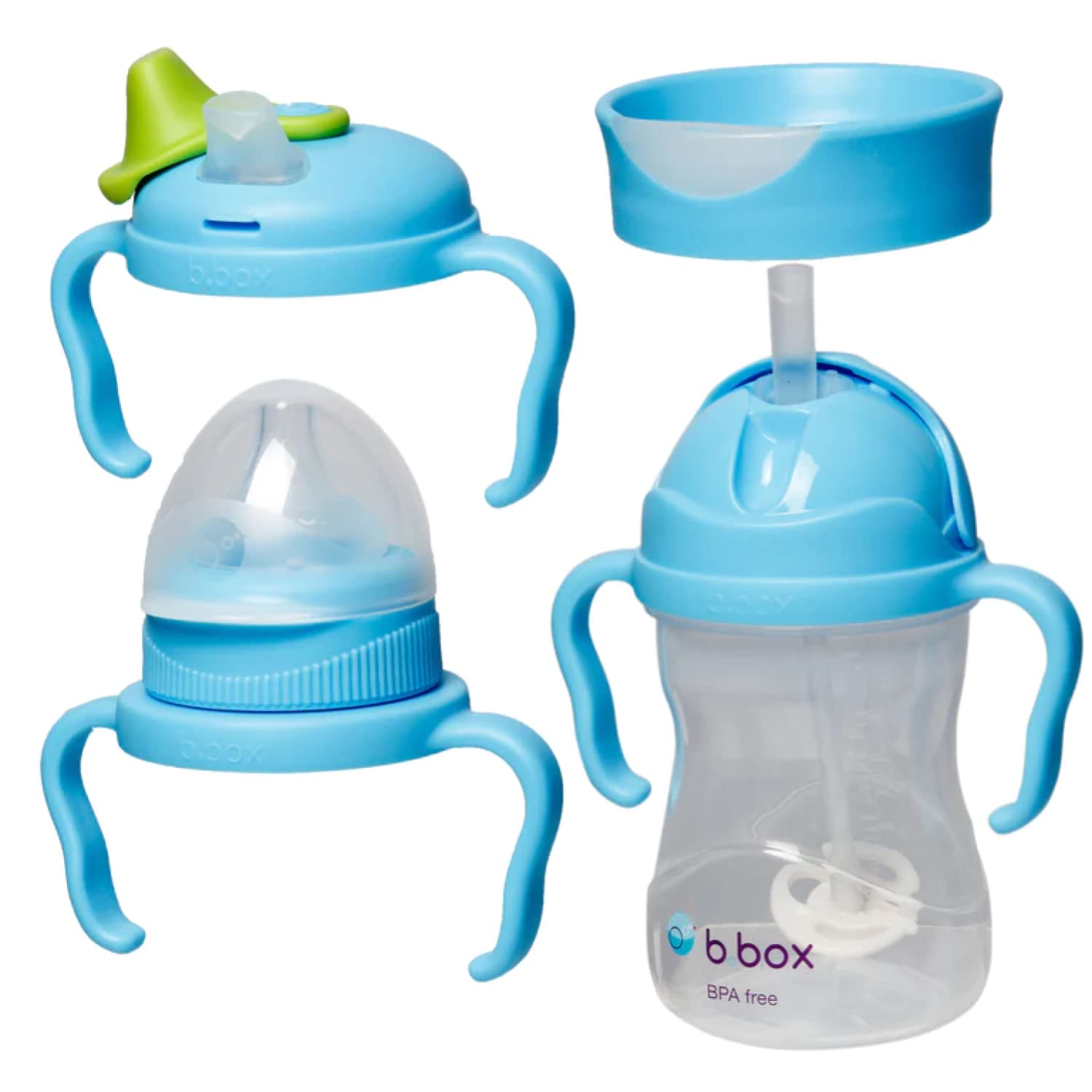 b.box 4 Lids in 1 Cup for Baby Feeding | 240 ML Spill Proof Toddler Training Bottle | Transition Sippy Cup with BPA Free Premium Silicone Plastic, Dishwasher Safe (Blueberry)
