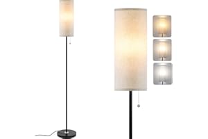 Coucrek Floor Lamp for Living Room, 3 Color Temperature Modern Standing Lamps, Minimalist Pole Lamp Tall Lamps for Bedroom Living Room Office,Black