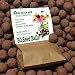 US Native Wildflower Seed Bombs for Pollinators (50 Pack). Regional Wildflower Mix Seed Balls for Guerrilla Gardening (Northeast)