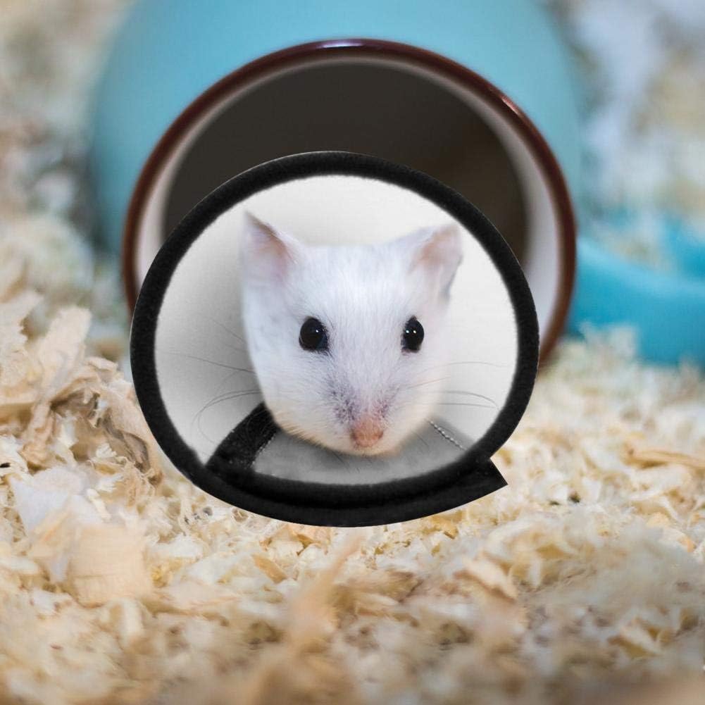 rabbit elizabethan collar