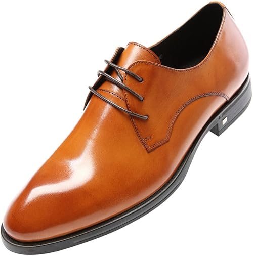 Amazon Woufo 商標登録0798 メンズ靴 レザー ビジネスシューズ紐 ブランド メダリオン トラッドシューズ 本革 ラグジュアリー ポインテッドトゥ プレーントゥ 結婚式 入学式 ドレスシューズ 革靴 紳士靴 オフィスシューズ ブラウン26 5 8551 01 Woufo ウォウフォ