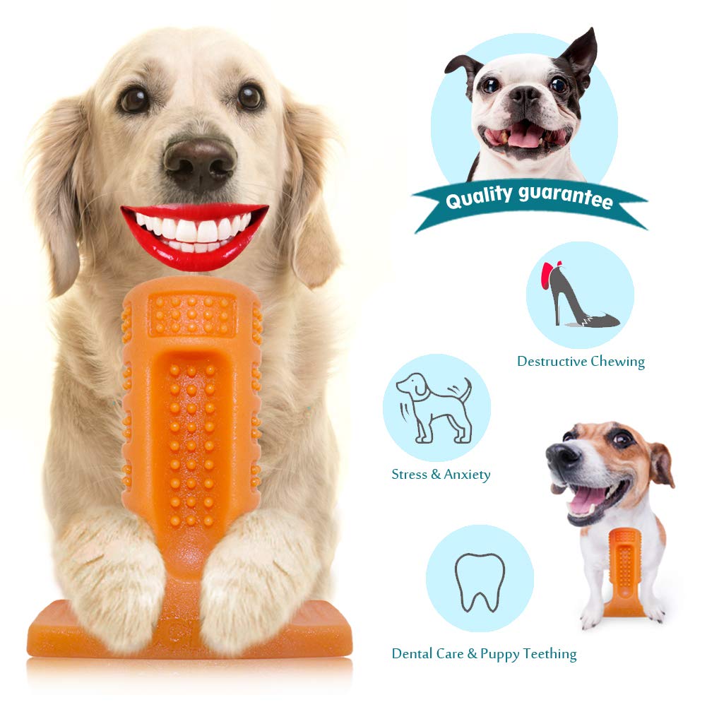 ucho Dog Toothbrush Toy Brushing Stick for Small and Medium,Dog Chew Toys Dental Care Dog Teeth Cleaning, Safe Natural Rubber Bite Resistant