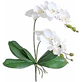 Elyjhyy Artificial Phaleanopsis Flowers Fake Orchids Leaves Branches for Home Bonsai Garden Decoration (White)