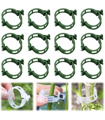300 Clips De Jardin Hillylolly Pour Plantes Grimpantes - Support Pour Tomates, Raisins, Légumes - Blanc