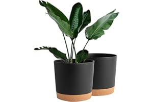 8 inch Plant Pots Indoor 2 Pack Flower Pots for Indoor Plants Pots Planters for Indoor Plants with Drainage Holes and Saucers
