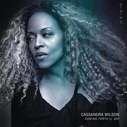 WILSON,CASSANDRA - Belly of the Sun - .com Music