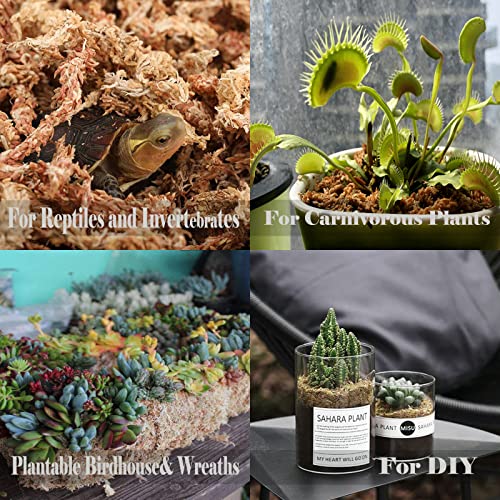 Sphagnum Moss Natural Potting Mix Dried Moss 4 Qt Growing Medium for