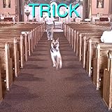 TRICK [LP][Explicit]