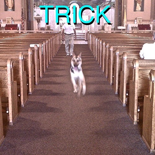 TRICK [LP][Explicit]