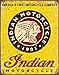 4SGM TSN1934 Indian Since 1901