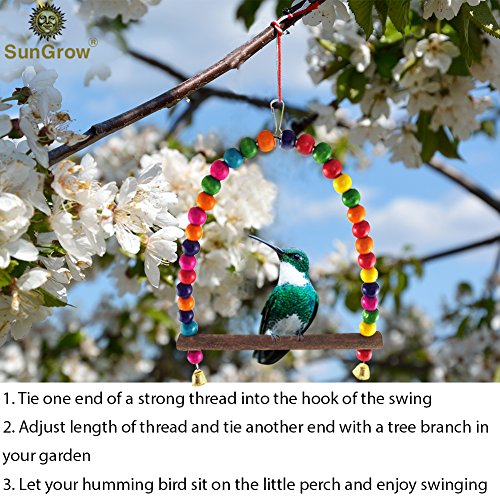 Humming bird Swing Perch â€