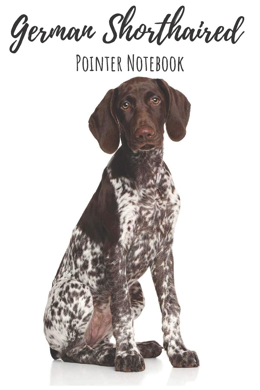 german shorthaired pointer accessories