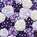 (AVE)~"WATERFALL MIX" VERBENA~Seeds!~~~~~A Great Case of the Blues!