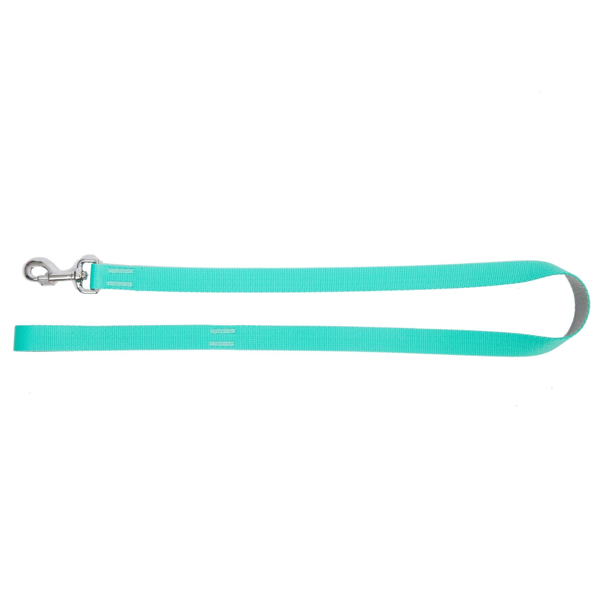 Dingo Dog Leash Handmade Mint with Silver Contrast 14727 — image 1