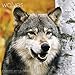 Wolves Wall Calendar (2017)