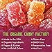 Organic Gummy Cubs | Vegan & Kosher Gummy Bears | No Gelatin, Gluten, GMO, Preservatives, Corn Syrup, or Artificial Ingredients by The Organic Candy Factory [4-Pack] (Mixed Berry)