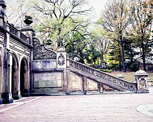 Amazon.com: New York City Photography Bethesda Terrace Central Park