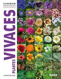 Plantes vivaces