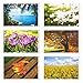 Best Paper Postcards 40 Pack Nature Bulk, Blank Travel Postcards for Mailing, 20 Assorted Scenic Photos, Four Seasons (4x6 In)