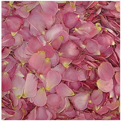 Rose Petals 3,600 Petals. Sexy Rexy Freeze Dried Pink Rose Petals. Wedding Petals from Flyboy Naturals 60 Cups. Small to Medium Size Petals.