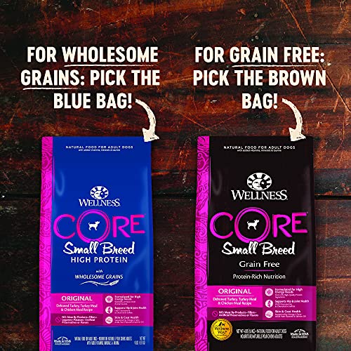 Wellness CORE Natural Grain Free Dry Dog Food, Small Breed Healthy
