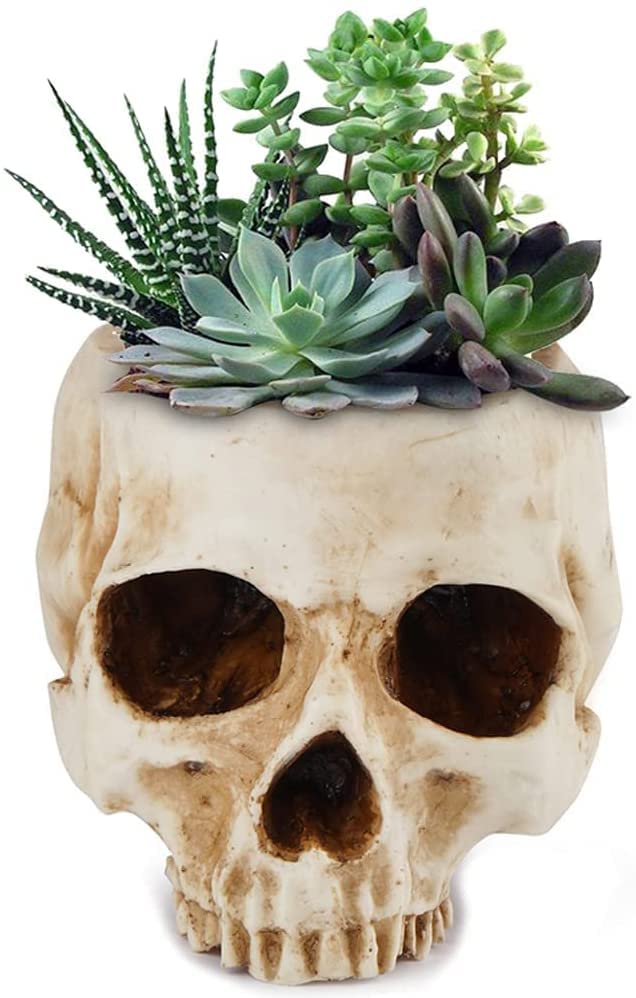 Yundxi Resin Halloween Skull Head Flower Pot Bowl Container Garden Planter Container