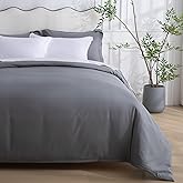 SheRest 1 Piece Duvet Cover Queen Size - 100% Viscose Derived from Bamboo, Soft Breathable Cooling Comforter Cover for Hot Sleepers, 8 Corner Ties and Zipper Closure, No Comforter (Gray, 90"x90")