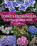 Today's Hydrangeas: A Buying Guide & More by Tim Boebel