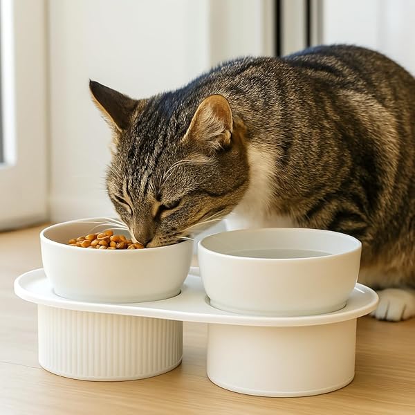 ELEVATED PET BOWLS SET, MODERN STYLE CERAMIC FOOD AND WATER DISHES WITH RAISED STAND (WHITE)