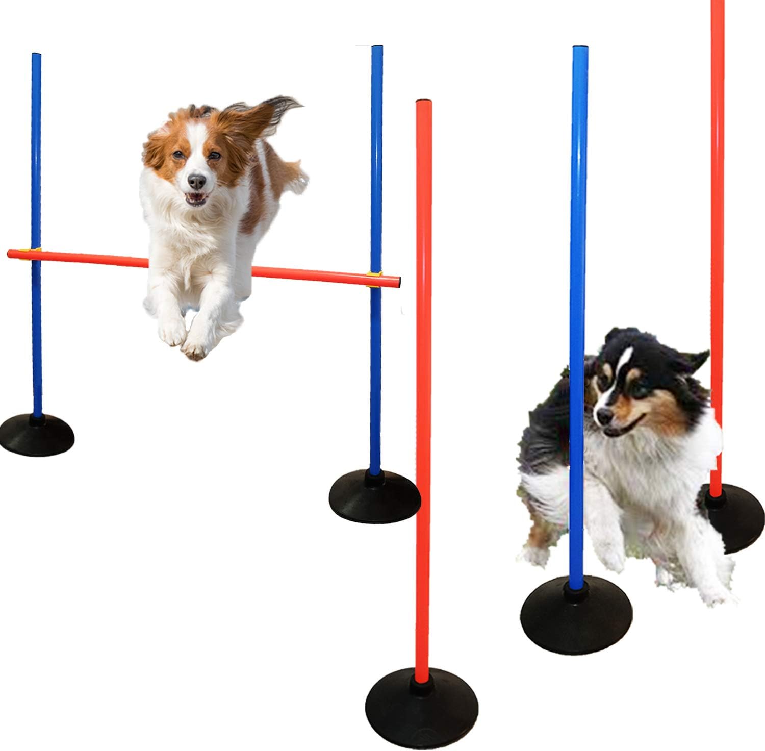 dog weave pole training