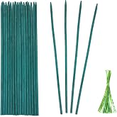 Green Bamboo Plant Stakes, 18 Inch Garden Plant Support Sticks 25 Pack | Sturdy Green Bamboo Support Sticks, Perfect for Flowers, Indoor, Outdoor and Climbing Garden Plants