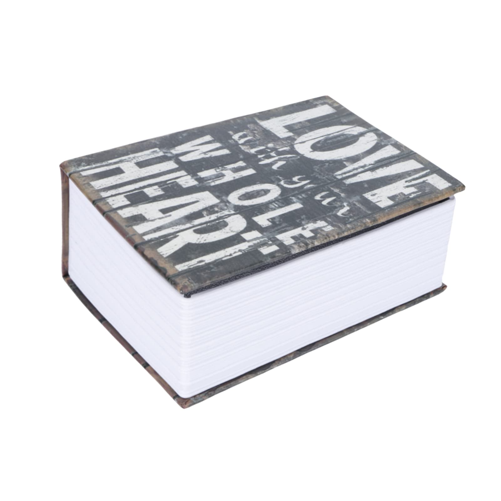 Alvinlite Mini Diversion Book Safe, Dictionary Secret Safe Box with Combination Lock, Metal Storage Case for Home Office Money Cash Security