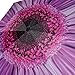 Purple Daisy Triple Folding Umbrella