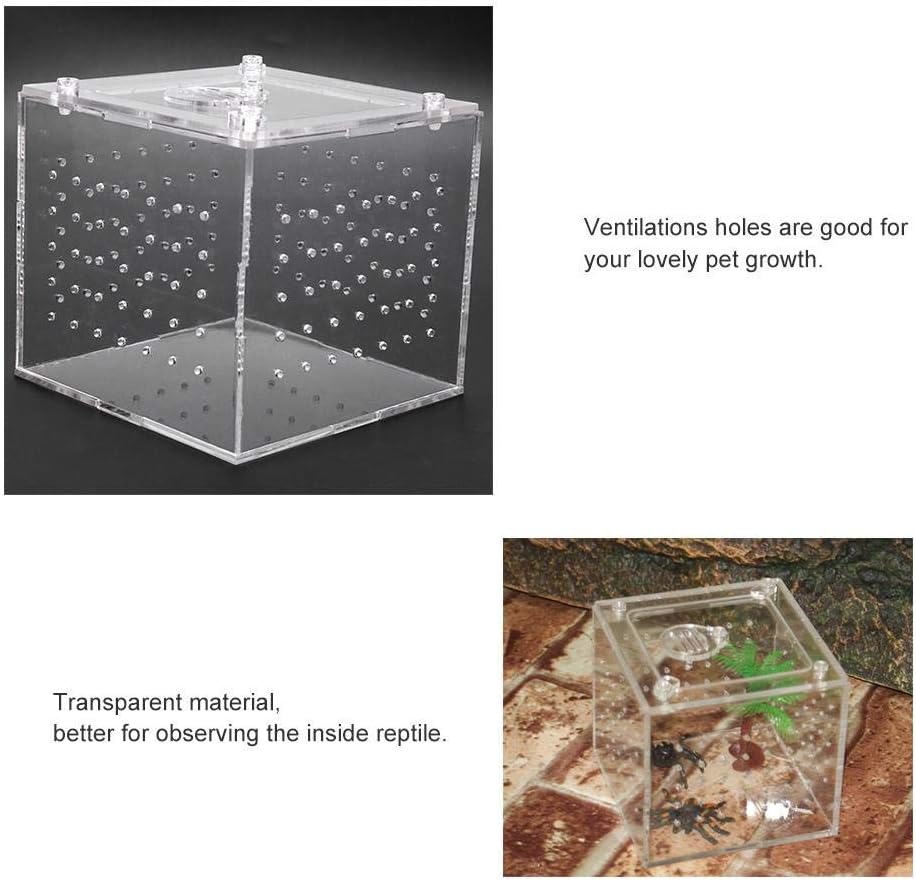 Transparent Acrylic Reptile Breeding Box, Live Food Storage Container, Insect Viewing Case for Spiders Crickets, Snails, 10x10x9cm - Image 3