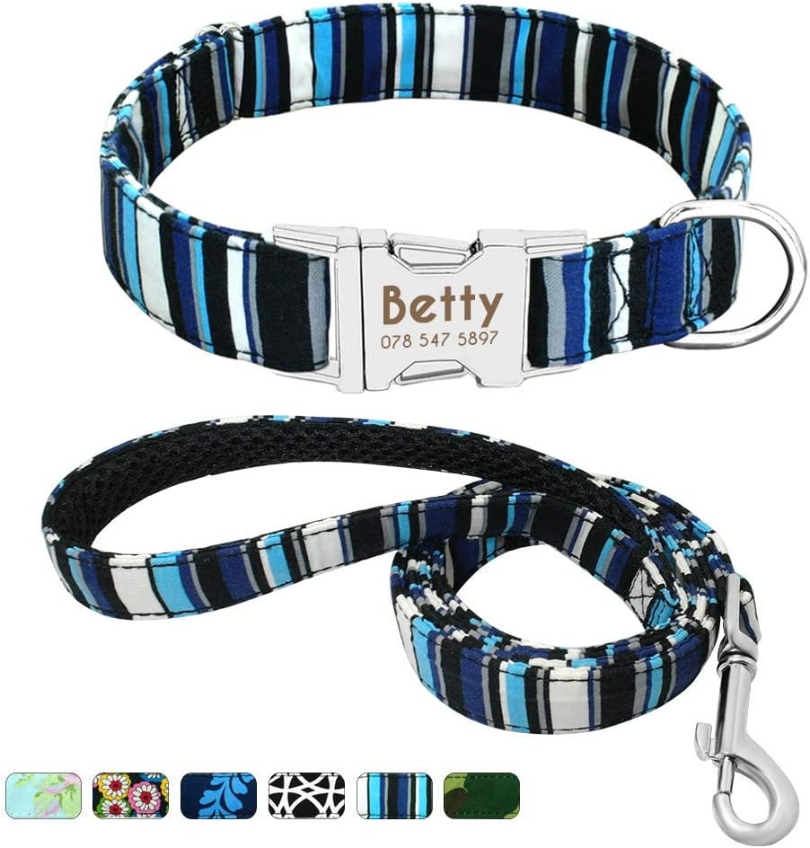large dog collars and leads