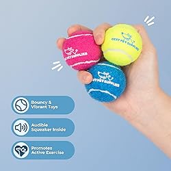 Best Pet Supplies Interactive Squeaky Dog Chew