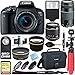 Canon EOS Rebel T7i DSLR Camera (1894C002) + 18-55mm IS STM & 75-300mm III Lens Kit + Accessory Bundle 32GB SDHC Memory + DSLR Photo Bag + Wide Angle Lens + 2x Telephoto Lens + Flash + Remote + Tripod
