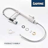 DAYONE 360° Swivel Pull Down Kitchen Tap Dual Spouts SUS304 Brushed view 9