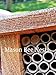 Donaldson Farms Mason Bee Attractant Spray- Lemon Grass Oil Formula for Thriving Bee Colonies Enhance Natural Beekeeping Experience, 2oz