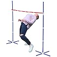 Giggle N Go Limbo Game for Adults and Family - Indoor Holiday Fun, Backyard Games, Lawn Games or Outdoor Party Games for Kids