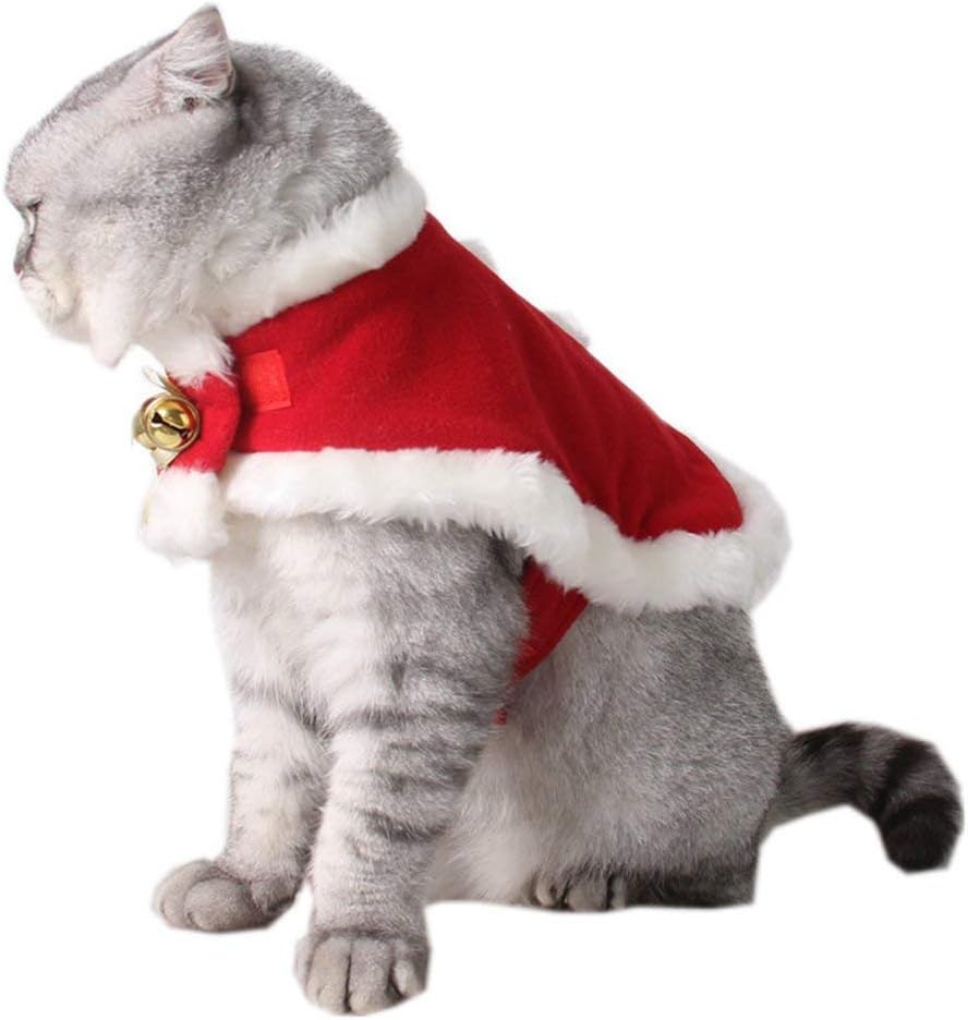 kitten christmas outfit