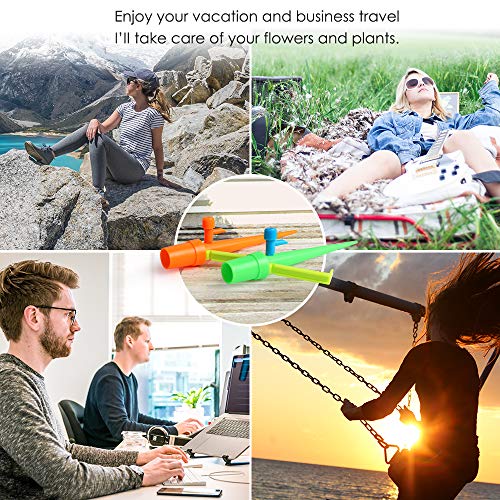 6 FinalBase+Watering+Automatic+Irrigation+Vegetable