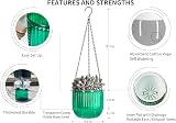 Josteve 6.5 Inch Self Watering Hanging Planter with Visible Water Level view 5